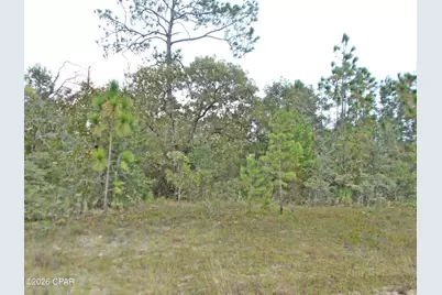 Lot 6 Nolan Drive, Chipley, FL 32428 - Photo 1
