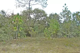 Lot 6 Nolan Dr, Chipley, FL 32428 - Photo 1