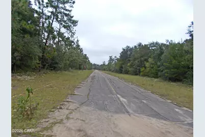 Lot 6 Nolan Drive, Chipley, FL 32428 - Photo 8