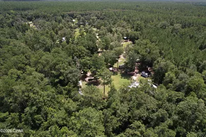 0 Camp Seclusion, Bristol, FL 32321 - Photo 8