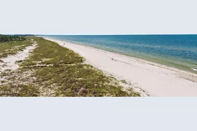 221 Stingray Lane, Port Saint Joe, FL 32456 - Photo 50