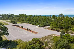221 Stingray Ln, Port Saint Joe, FL 32456 - Photo 48