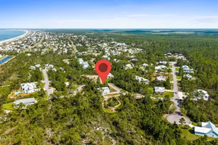 221 Stingray Ln, Port Saint Joe, FL 32456 - Photo 58