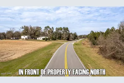 0 Salem Church Road, Sneads, FL 32460 - Photo 8