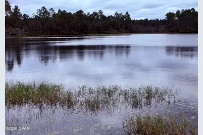 171 Lake Merial Boulevard, Southport, FL 32409 - Photo 14