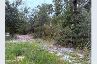 171 Lake Merial Boulevard, Southport, FL 32409 - Photo 8