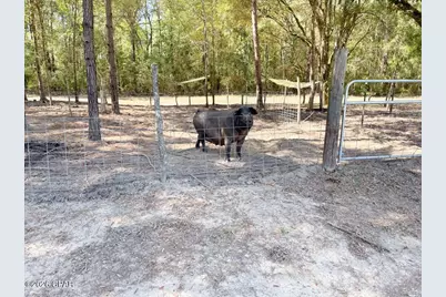 0000 Corbin Lane, Bonifay, FL 32425 - Photo 74