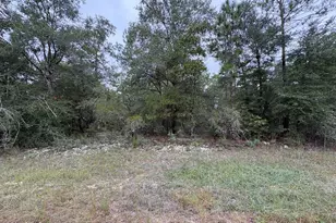 Lot 38 Adirondack Dr, Chipley, FL 32428 - Photo 1
