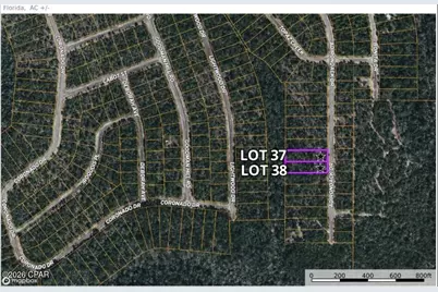Lot 38 Adirondack Drive, Chipley, FL 32428 - Photo 6
