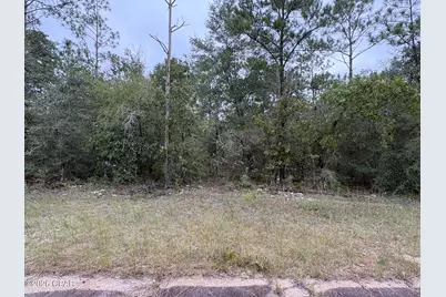 Lot 37 Adirondack Drive, Chipley, FL 32428 - Photo 1