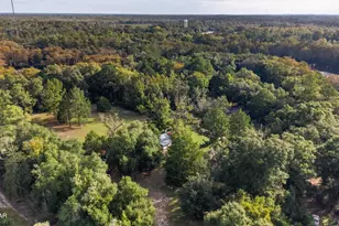 750 Palmer Dr, Caryville, FL 32427 - Photo 84