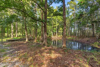 750 Palmer Drive, Caryville, FL 32427 - Photo 4