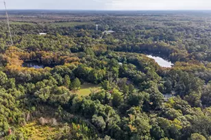 750 Palmer Dr, Caryville, FL 32427 - Photo 82
