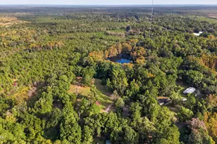 750 Palmer Dr, Caryville, FL 32427 - Photo 80