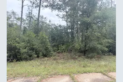 Lot 1 Wellington Place, Chipley, FL 32428 - Photo 4