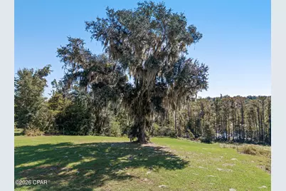 Lot 3 Spring Chase Lane, Marianna, FL 32446 - Photo 8