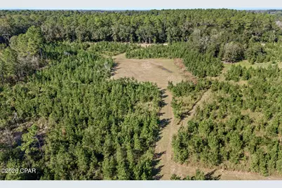 Xxx Birch Road, Graceville, FL 32440 - Photo 12