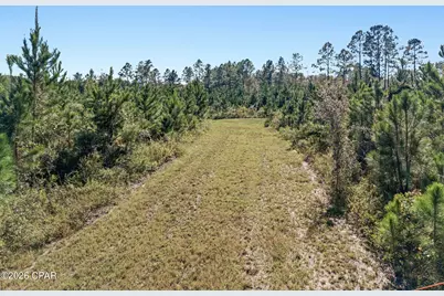 Xxx Birch Road, Graceville, FL 32440 - Photo 10
