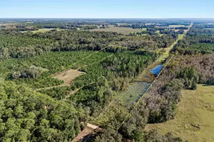 Xxx Birch Rd, Graceville, FL 32440 - Photo 1