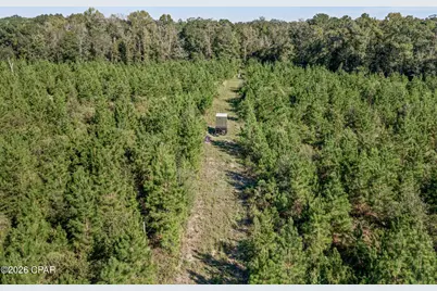 Xxx Birch Road, Graceville, FL 32440 - Photo 20
