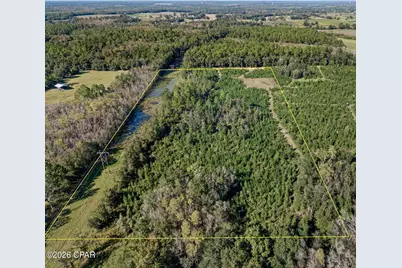 Xxx Birch Road, Graceville, FL 32440 - Photo 4