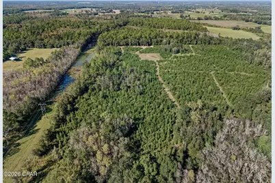 Xxx Birch Road, Graceville, FL 32440 - Photo 14