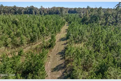 Xxx Birch Road, Graceville, FL 32440 - Photo 8