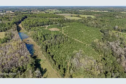 Xxx Birch Road, Graceville, FL 32440 - Photo 16