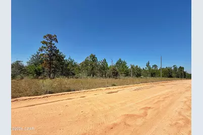 121 Petty Road, Marianna, FL 32448 - Photo 6