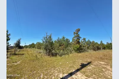 121 Petty Road, Marianna, FL 32448 - Photo 4