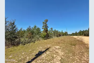 121 Petty Road, Marianna, FL 32448 - Photo 2