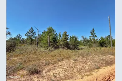 121 Petty Road, Marianna, FL 32448 - Photo 1