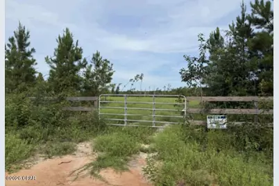 12158 SE Oak Grove Road, Kinard, FL 32449 - Photo 2