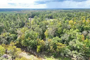 8282 NW River Rd, Bristol, FL 32321 - Photo 36