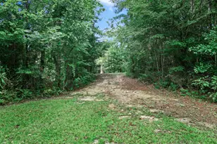 8282 NW River Rd, Bristol, FL 32321 - Photo 32