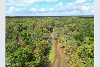8282 NW River Road, Bristol, FL 32321 - Photo 38