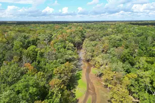 8282 NW River Rd, Bristol, FL 32321 - Photo 38