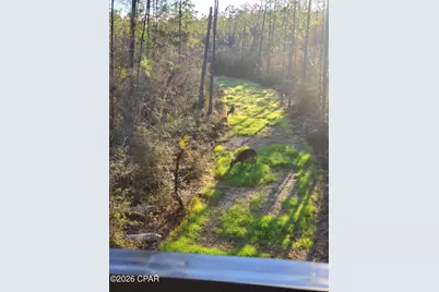 19 2N 12W -6 #12W, Fountain, FL 32438 - Photo 10