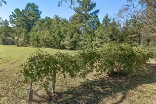 3395 Ontario Rd, Marianna, FL 32448 - Photo 28