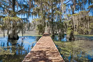 2825 Jackson Bluff Rd, Marianna, FL 32446 - Photo 46
