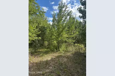 0000 Poplar Springs Road, Marianna, FL 32446 - Photo 4