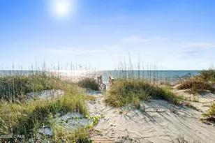 219 Haven Rd, Port Saint Joe, FL 32456 - Photo 40