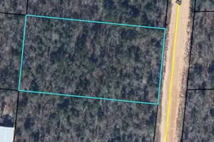 00 Jackson Rd Rd, Marianna, FL 32448 - Photo 1