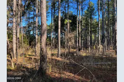 3150 Highway 2, Campbellton, FL 32426 - Photo 18