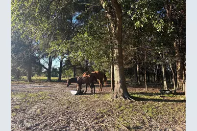 0 I-10 Loop, Marianna, FL 32448 - Photo 10