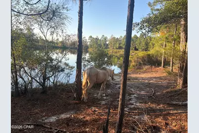 0 I-10 Loop, Marianna, FL 32448 - Photo 4