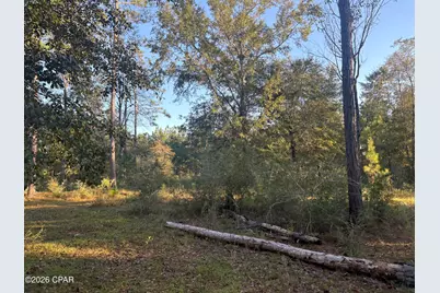 0 I-10 Loop, Marianna, FL 32448 - Photo 16