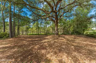 727 Wrights Creek Rd, Caryville, FL 32427 - Photo 36