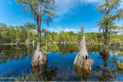 727 Wrights Creek Road, Caryville, FL 32427 - Photo 40