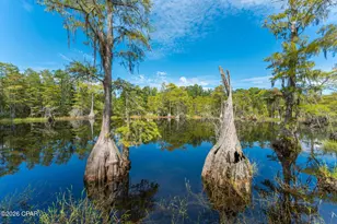 727 Wrights Creek Rd, Caryville, FL 32427 - Photo 40
